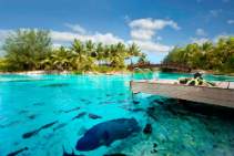 bobxr-lagoonarium-5642-hor-clsc_O